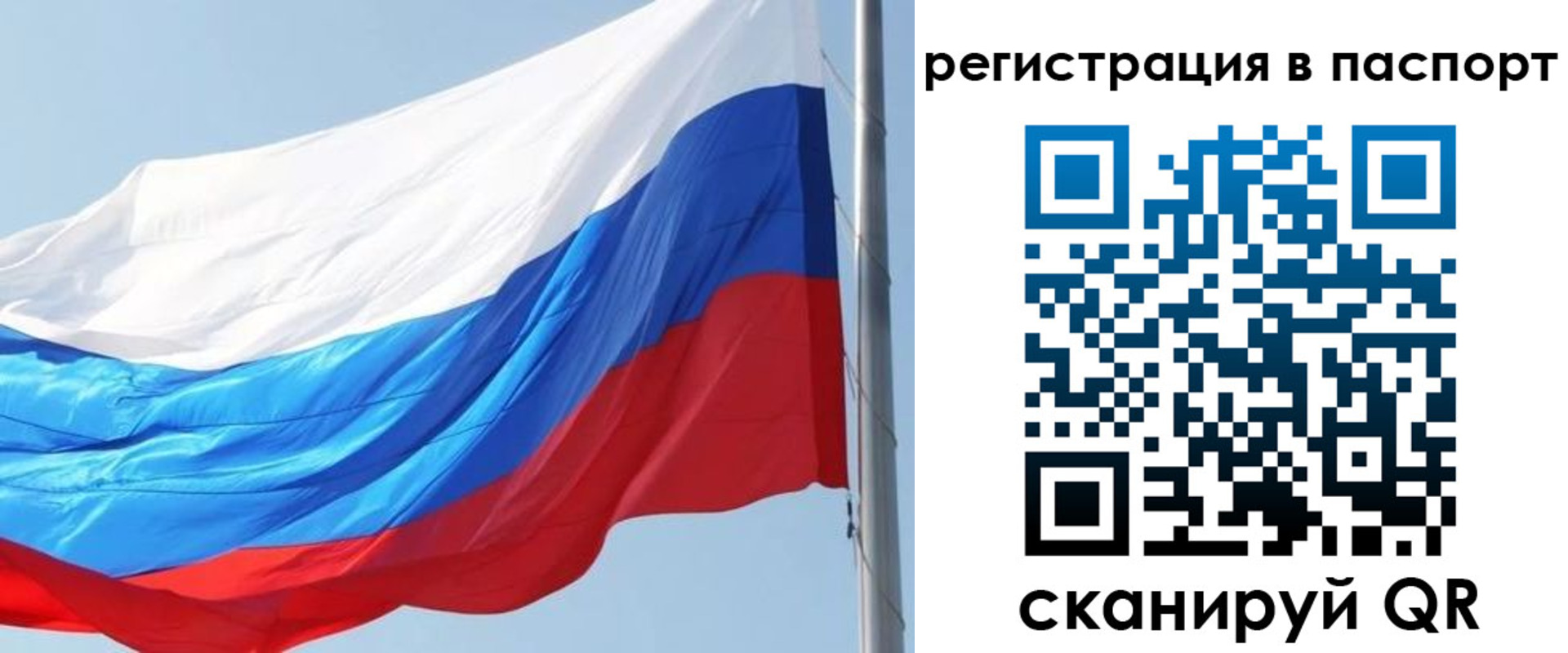 прописка законно в Карабаново
